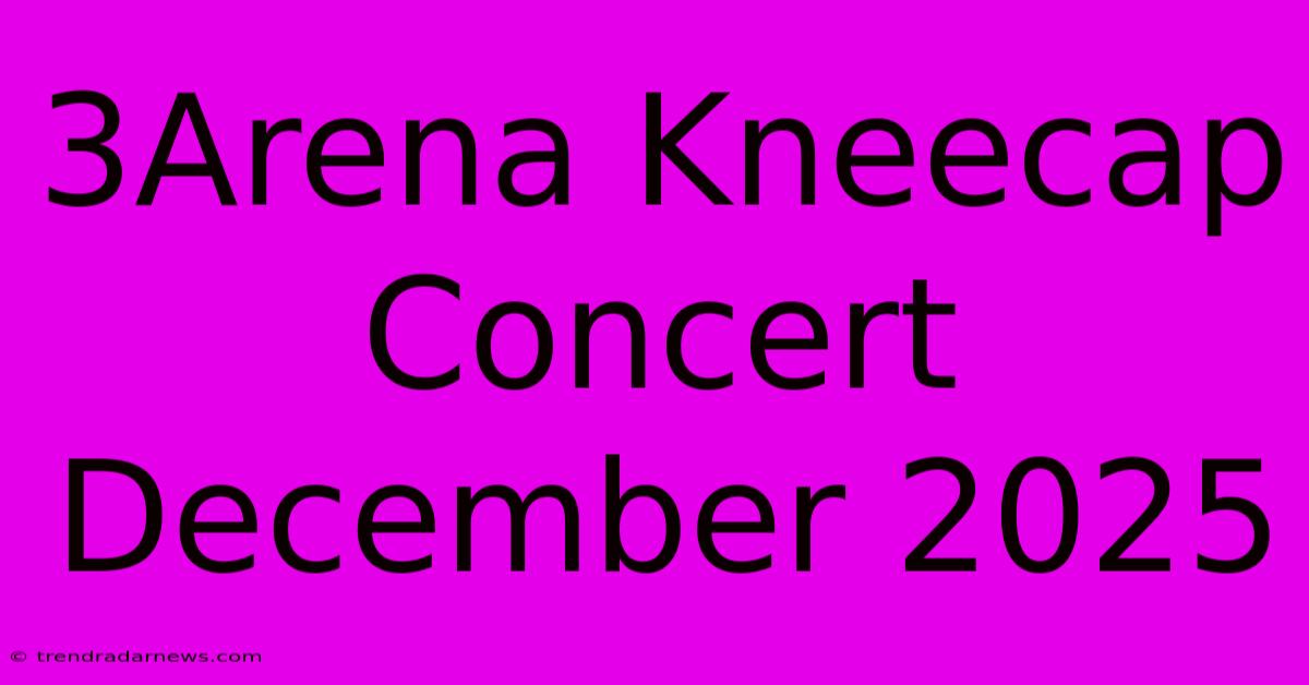 3Arena Kneecap Concert December 2025