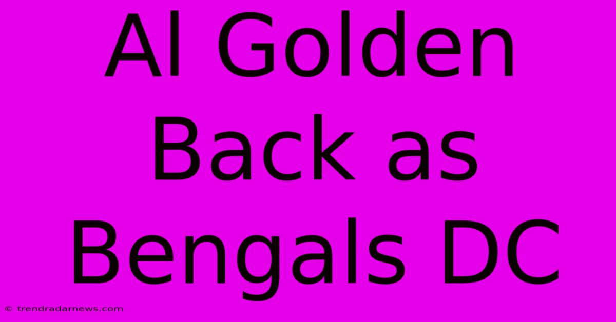 Al Golden Back As Bengals DC