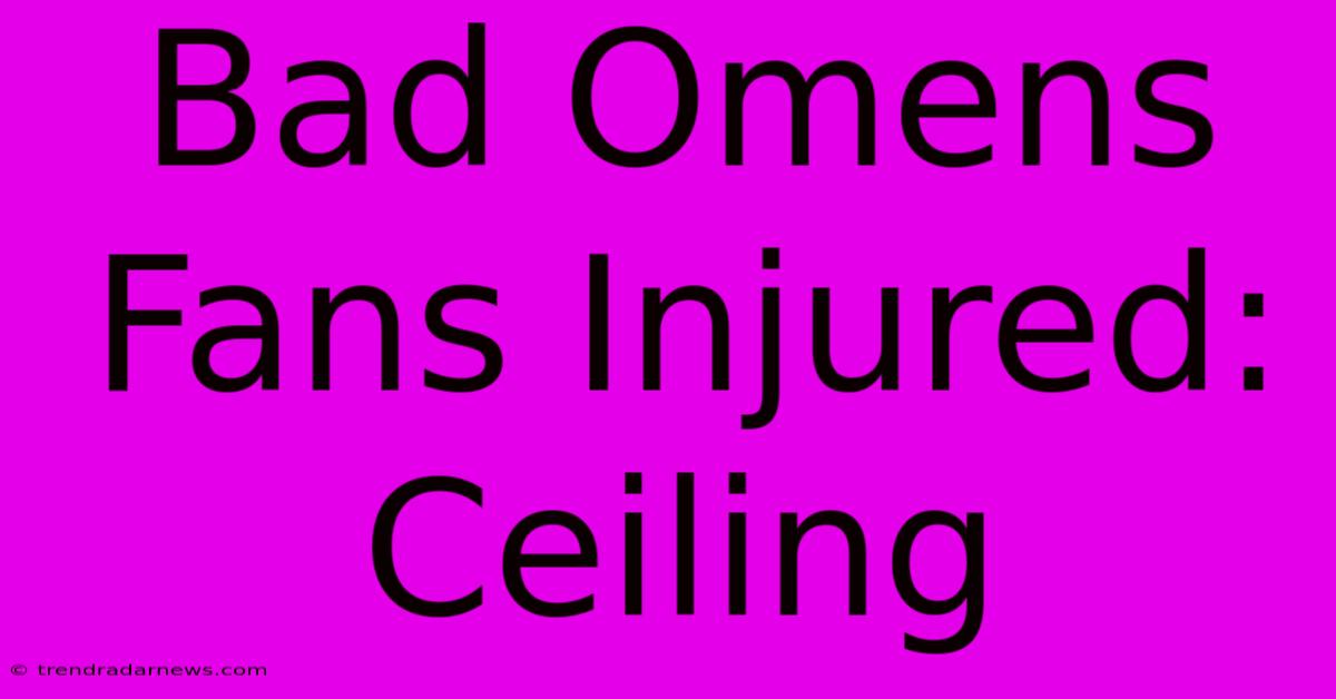 Bad Omens Fans Injured: Ceiling