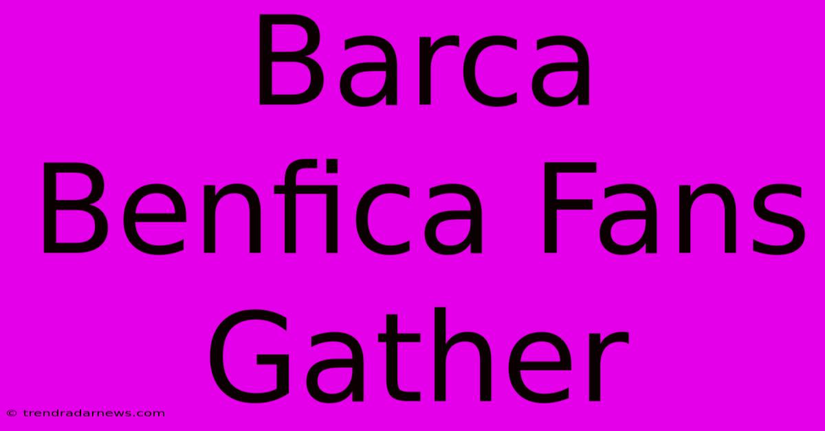 Barca Benfica Fans Gather