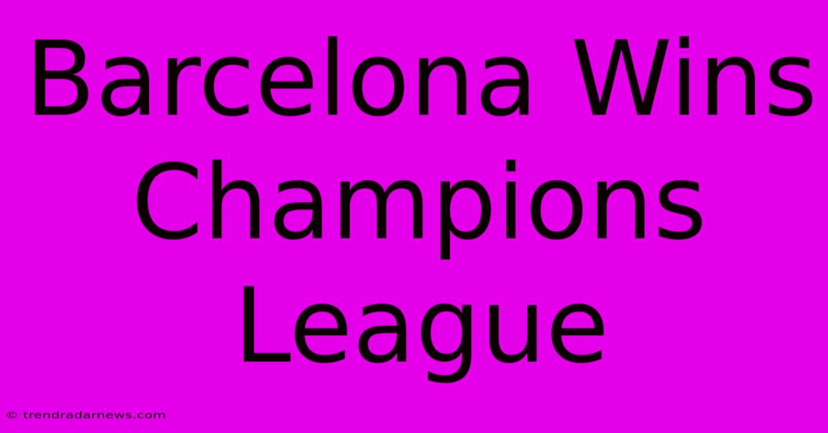 Barcelona Wins Champions League