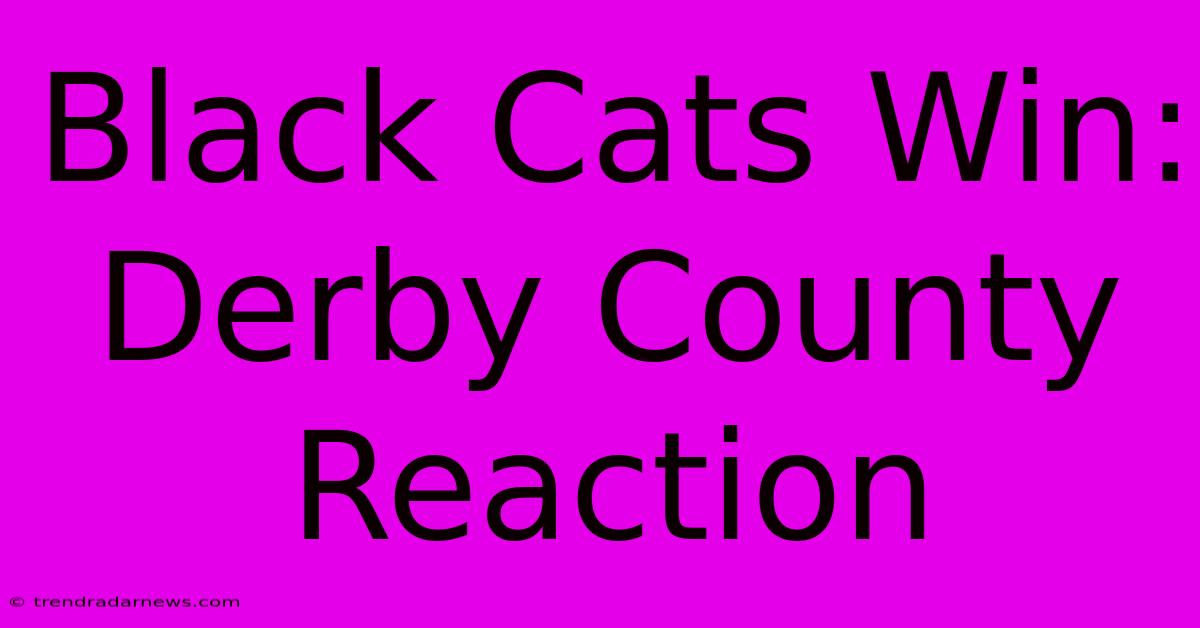 Black Cats Win: Derby County Reaction