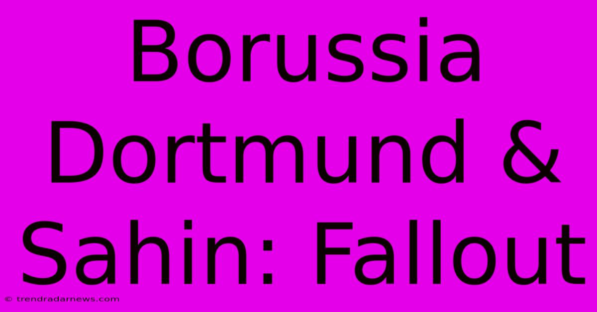 Borussia Dortmund & Sahin: Fallout