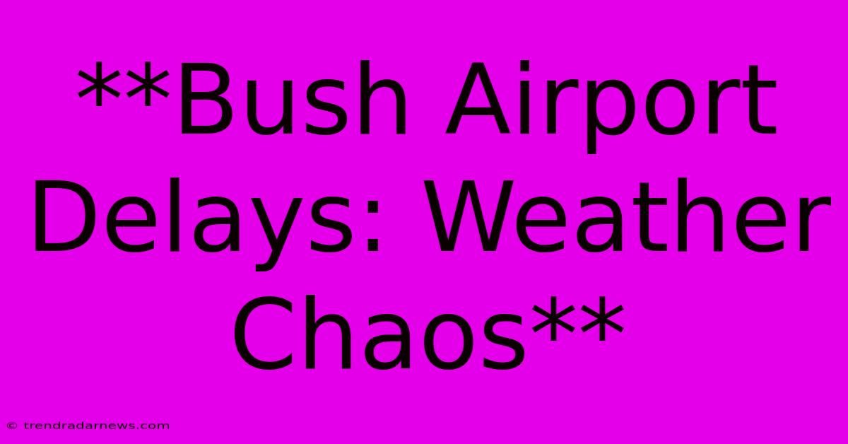 **Bush Airport Delays: Weather Chaos**