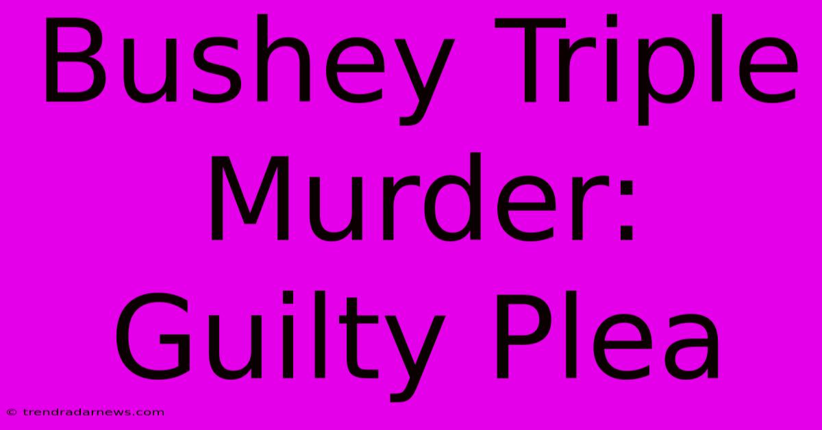 Bushey Triple Murder: Guilty Plea