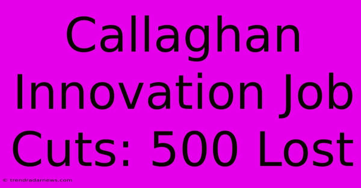 Callaghan Innovation Job Cuts: 500 Lost