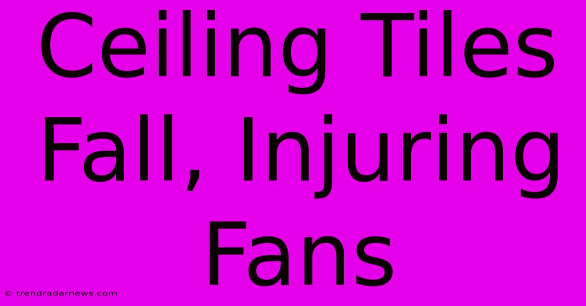 Ceiling Tiles Fall, Injuring Fans