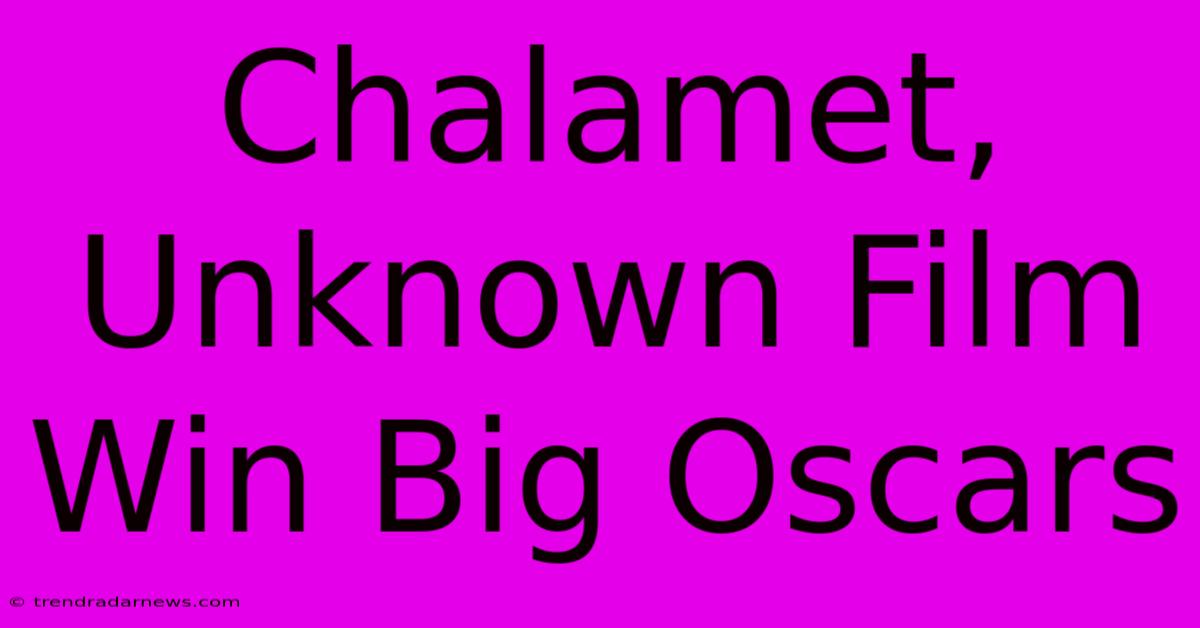 Chalamet, Unknown Film Win Big Oscars