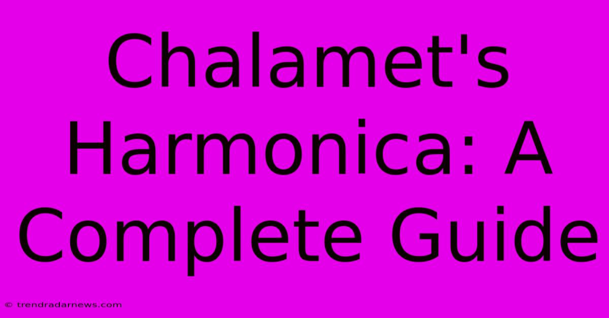 Chalamet's Harmonica: A Complete Guide