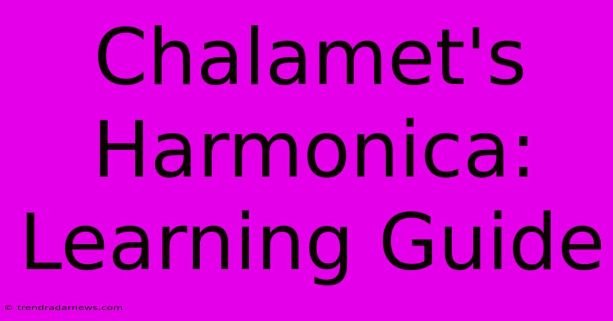 Chalamet's Harmonica: Learning Guide