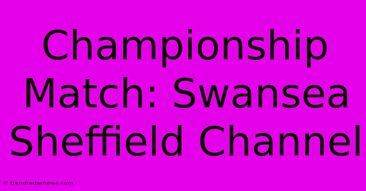 Championship Match: Swansea Sheffield Channel