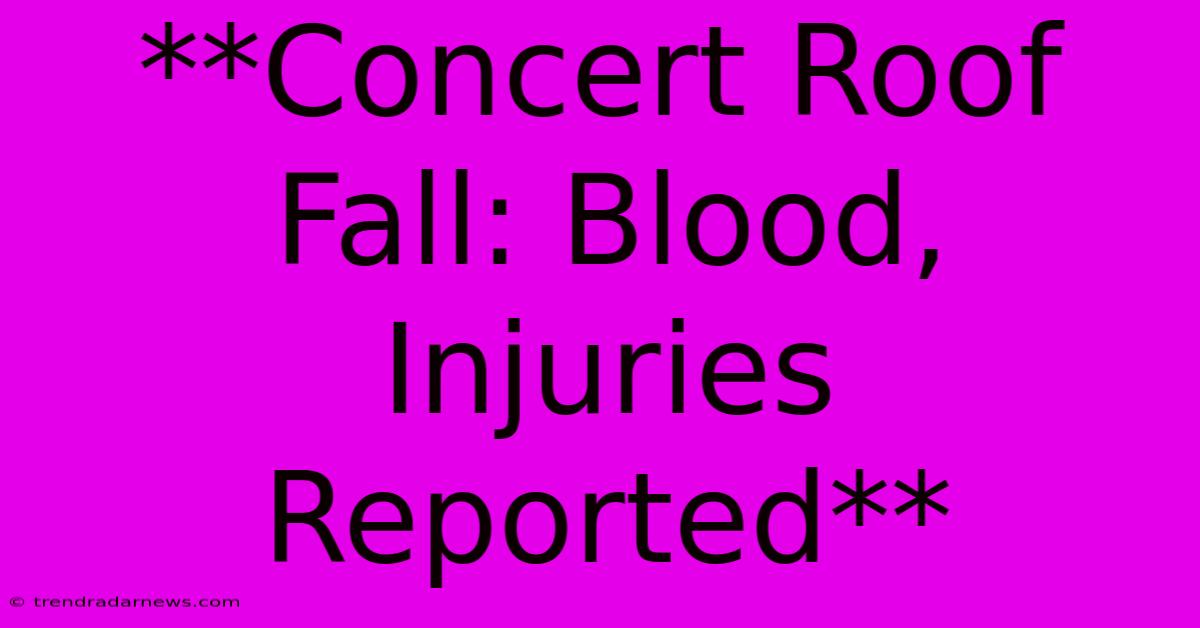 **Concert Roof Fall: Blood, Injuries Reported**