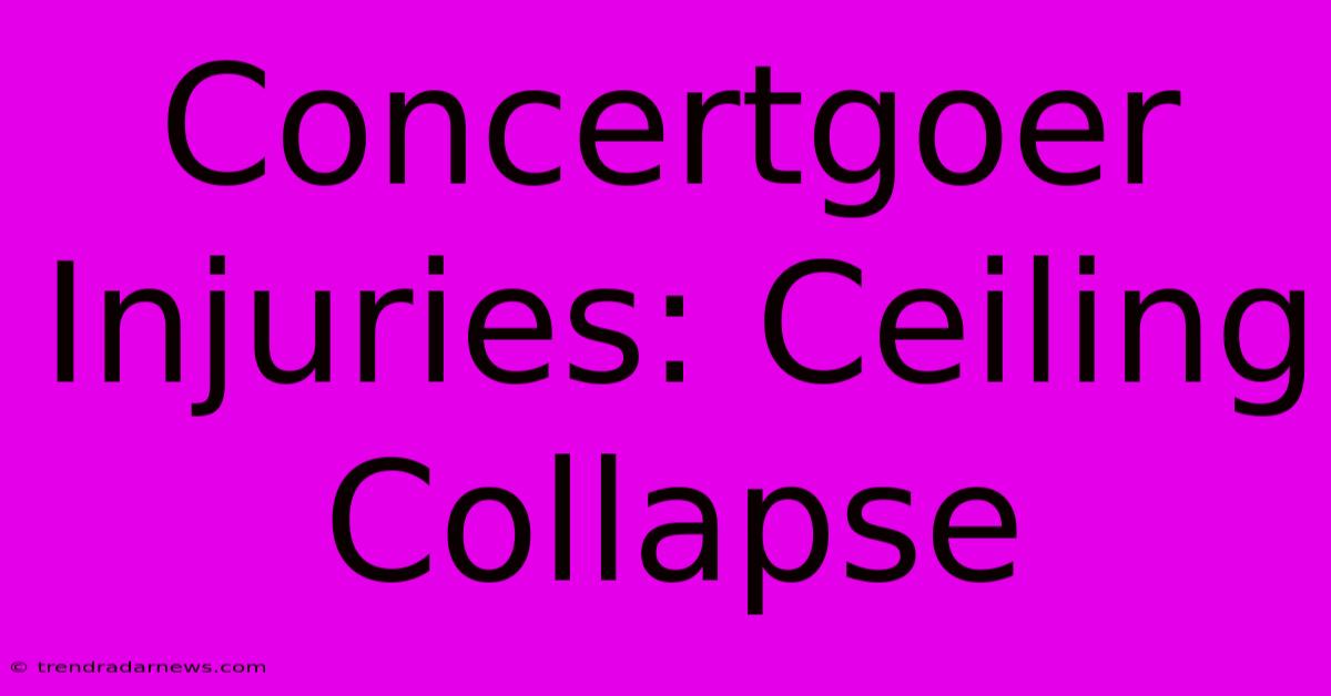 Concertgoer Injuries: Ceiling Collapse