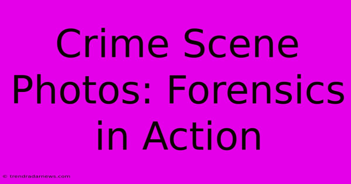 Crime Scene Photos: Forensics In Action