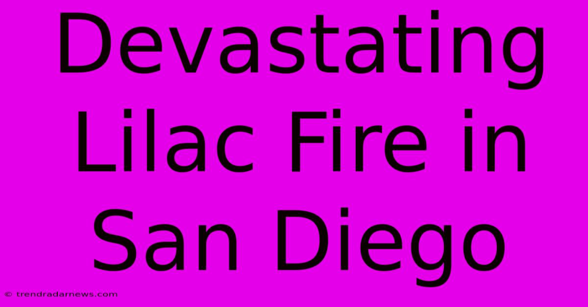 Devastating Lilac Fire In San Diego