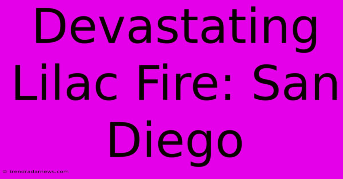 Devastating Lilac Fire: San Diego