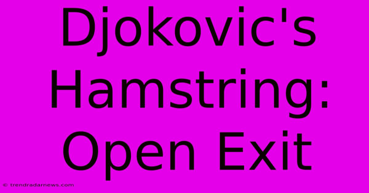 Djokovic's Hamstring: Open Exit