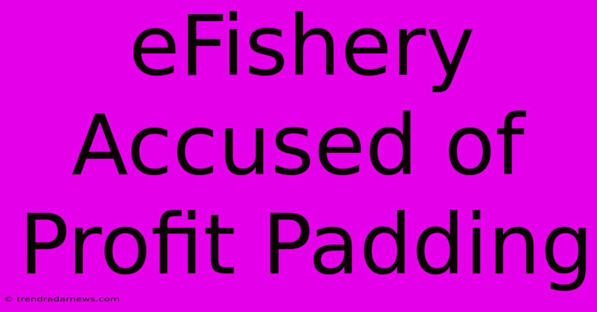 EFishery Accused Of Profit Padding