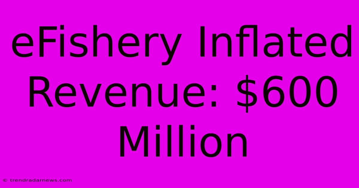 EFishery Inflated Revenue: $600 Million