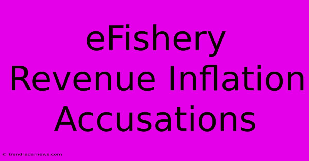 EFishery Revenue Inflation Accusations