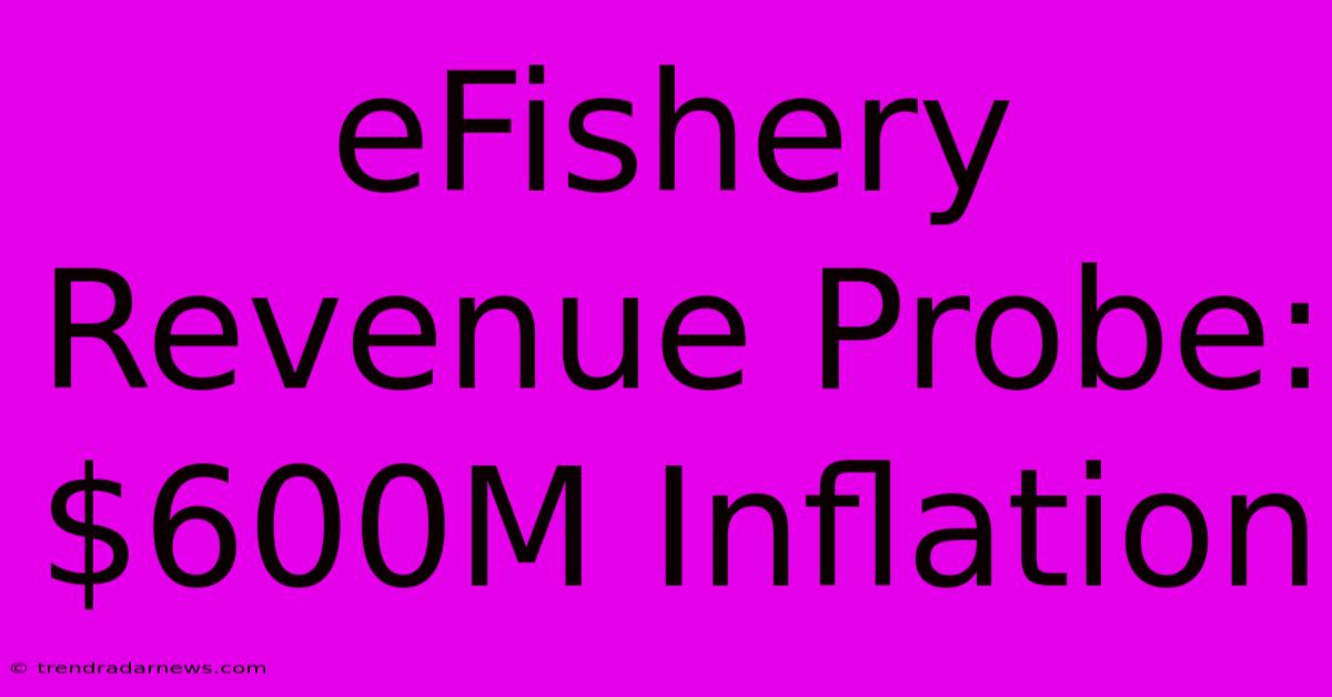 EFishery Revenue Probe: $600M Inflation