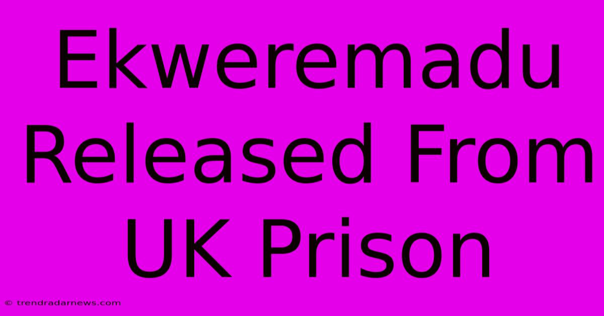 Ekweremadu Released From UK Prison