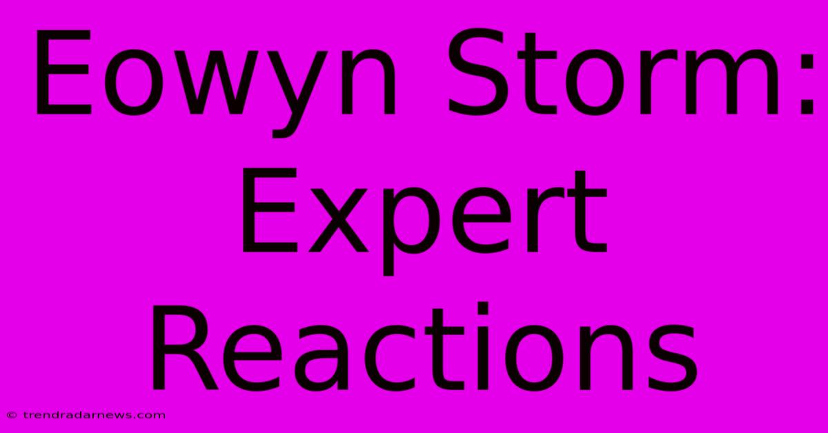 Eowyn Storm: Expert Reactions