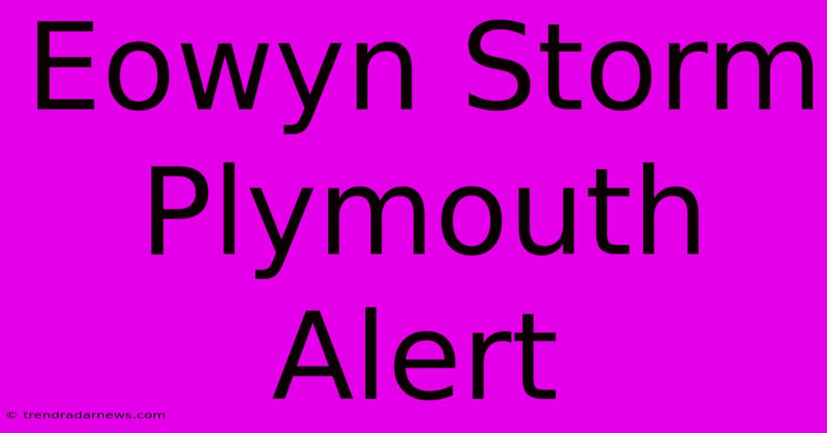 Eowyn Storm Plymouth Alert