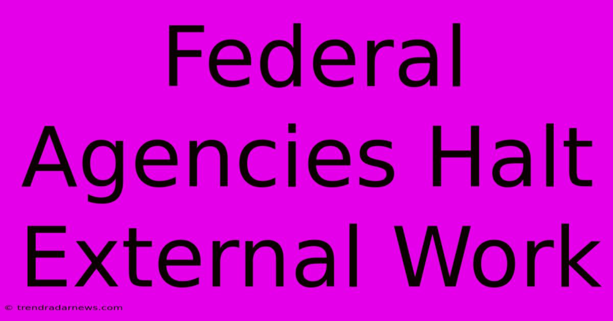 Federal Agencies Halt External Work