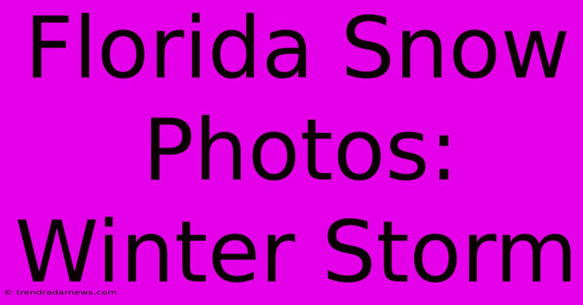 Florida Snow Photos: Winter Storm