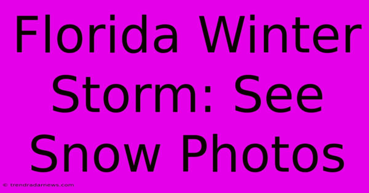 Florida Winter Storm: See Snow Photos