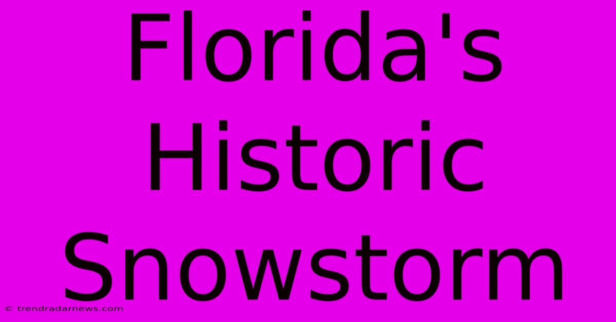 Florida's Historic Snowstorm