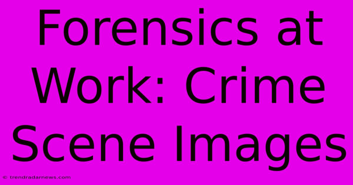 Forensics At Work: Crime Scene Images