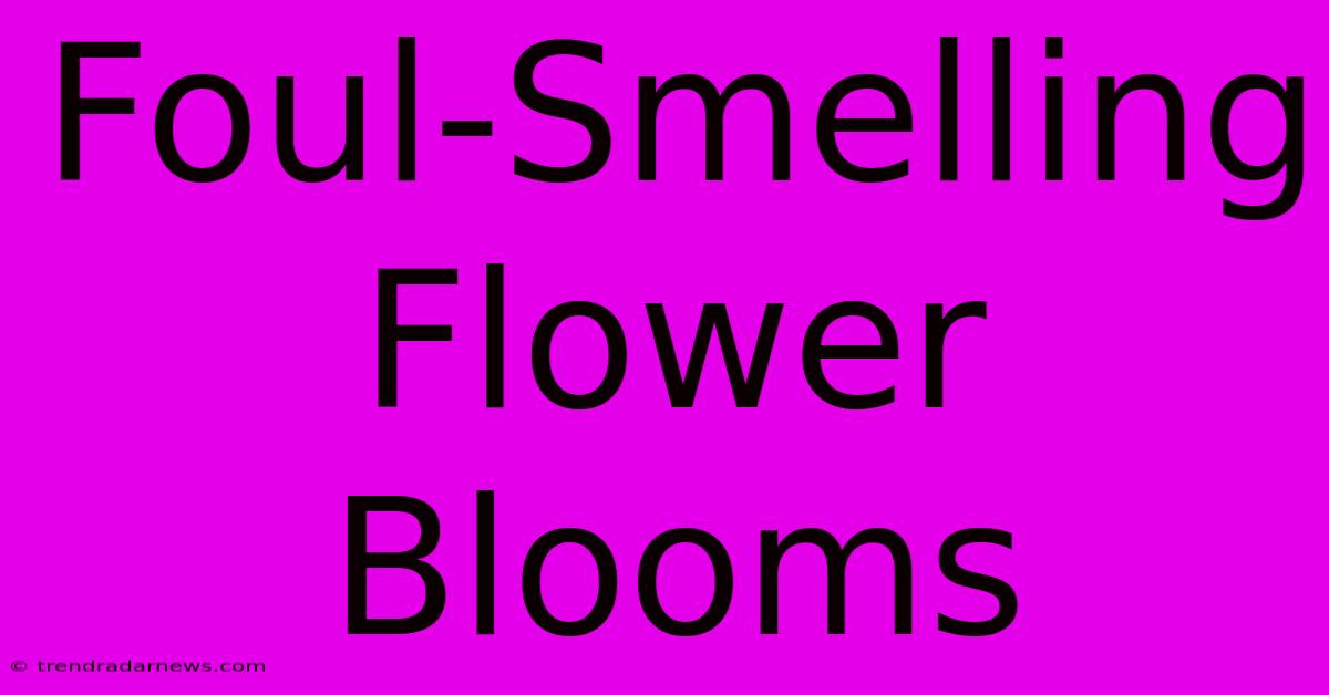 Foul-Smelling Flower Blooms