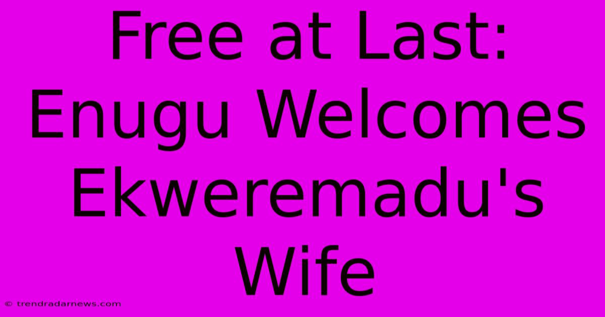 Free At Last: Enugu Welcomes Ekweremadu's Wife