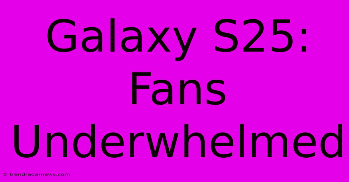 Galaxy S25: Fans Underwhelmed