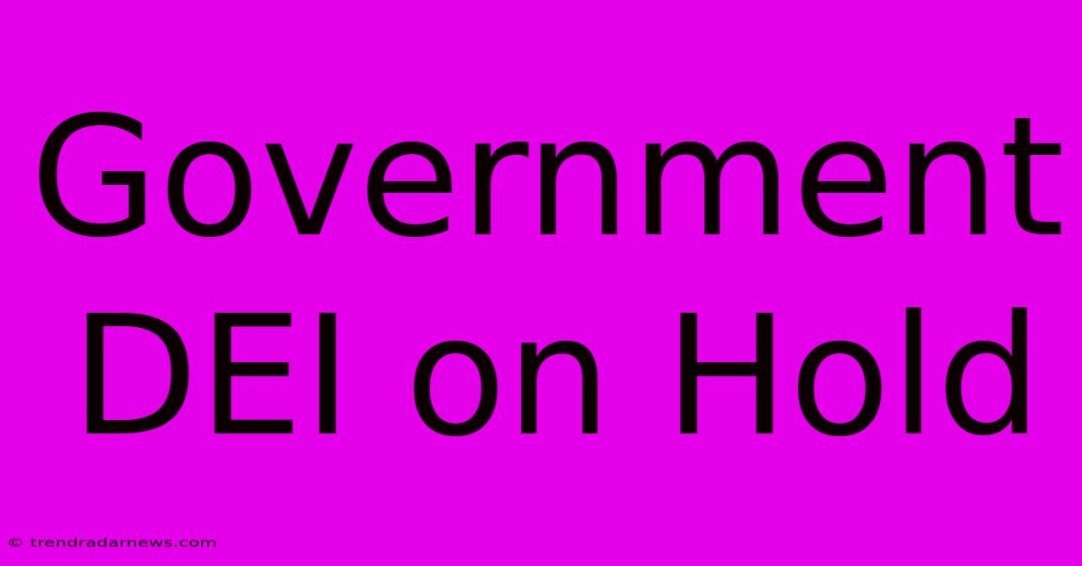 Government DEI On Hold