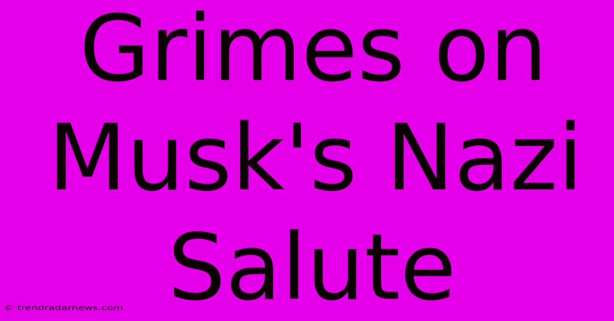 Grimes On Musk's Nazi Salute