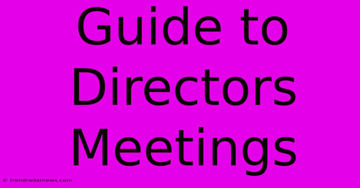 Guide To Directors Meetings