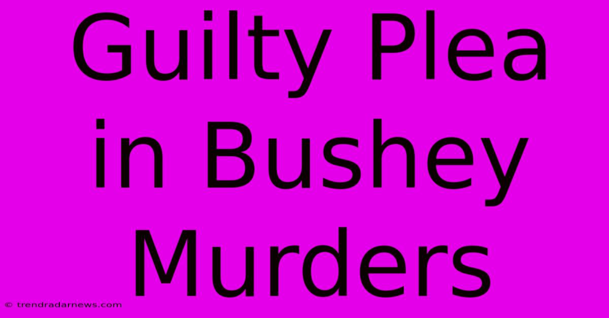 Guilty Plea In Bushey Murders