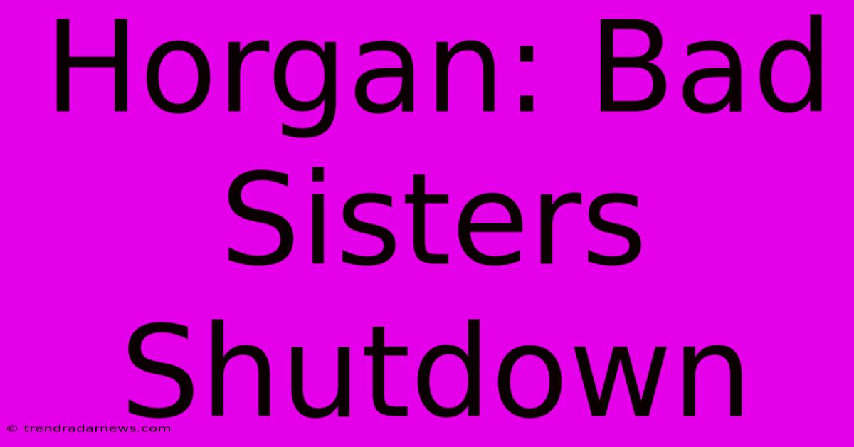 Horgan: Bad Sisters Shutdown