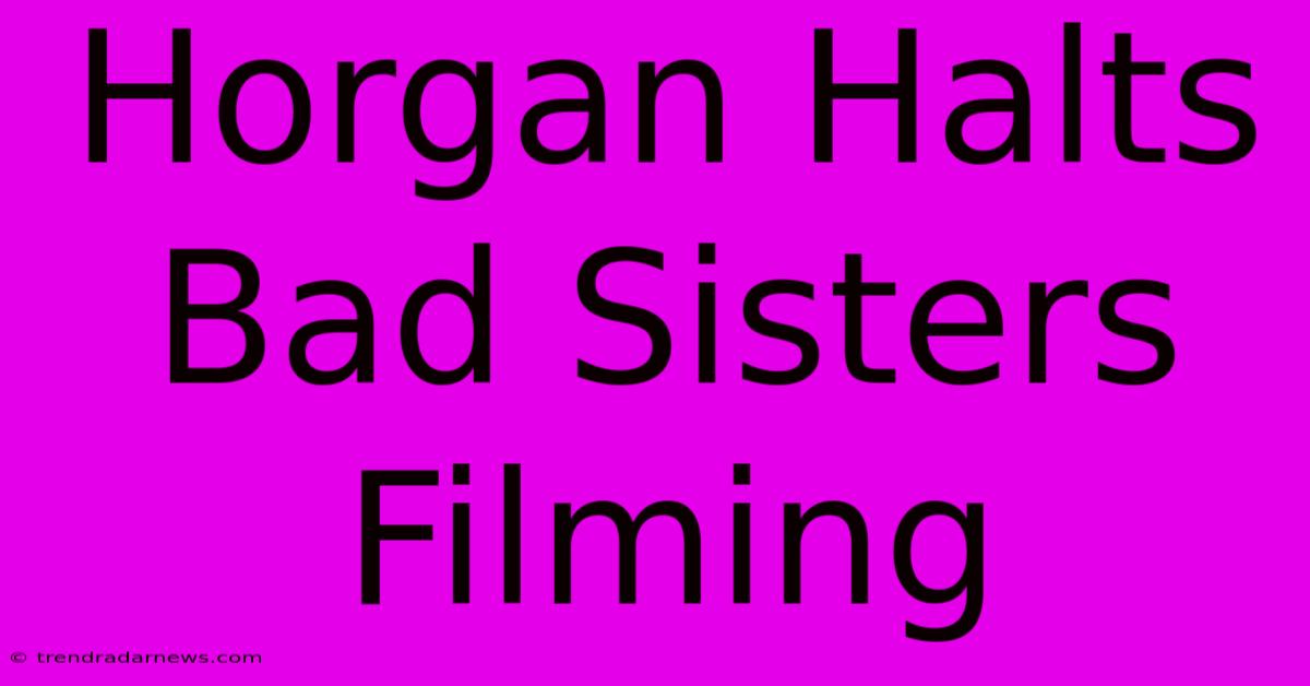 Horgan Halts Bad Sisters Filming