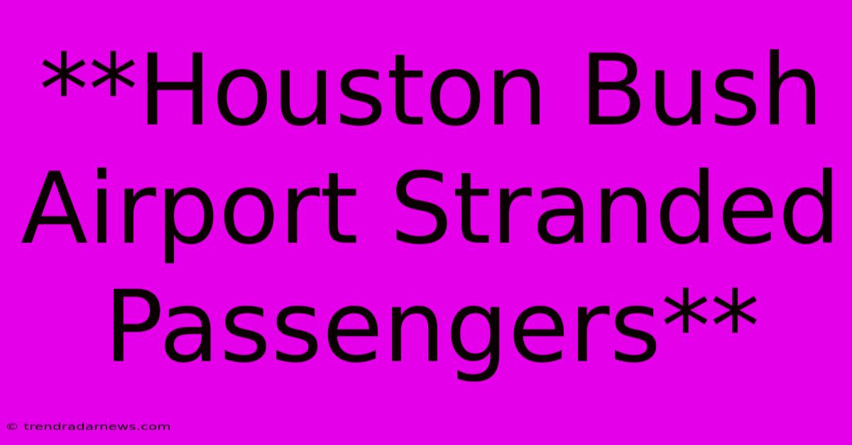 **Houston Bush Airport Stranded Passengers**