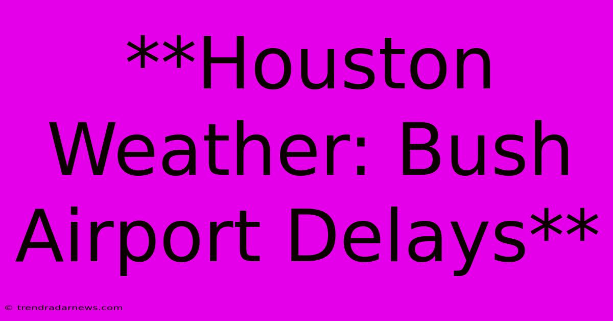 **Houston Weather: Bush Airport Delays**