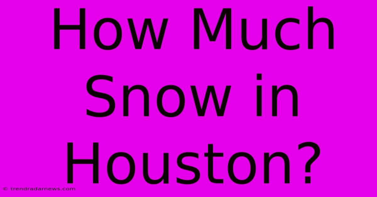 How Much Snow In Houston?