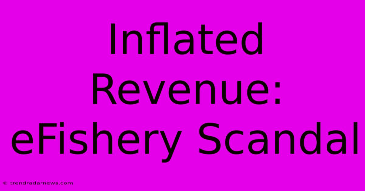 Inflated Revenue: EFishery Scandal