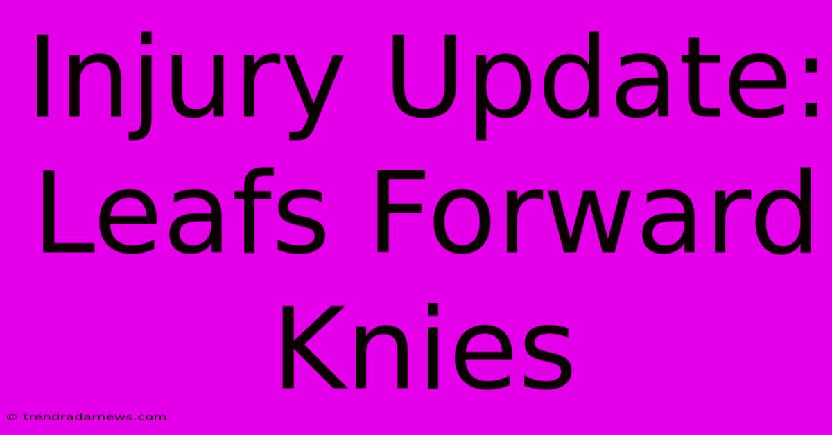 Injury Update: Leafs Forward Knies