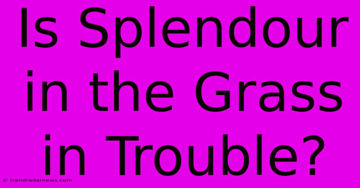 Is Splendour In The Grass In Trouble?