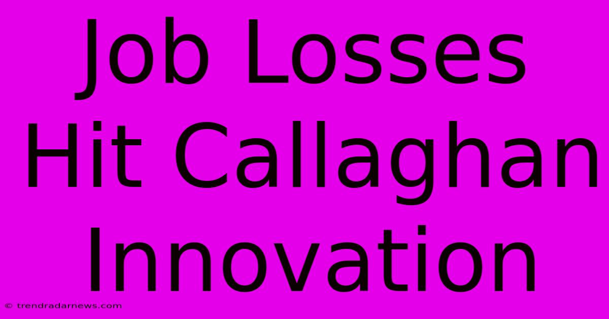 Job Losses Hit Callaghan Innovation