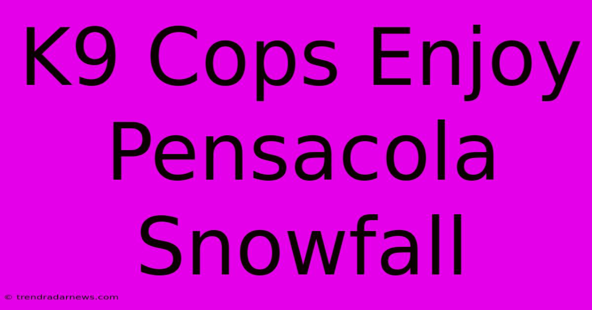 K9 Cops Enjoy Pensacola Snowfall